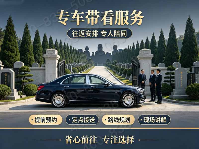 百年银杏秋韵：万安公墓摄影热门景点